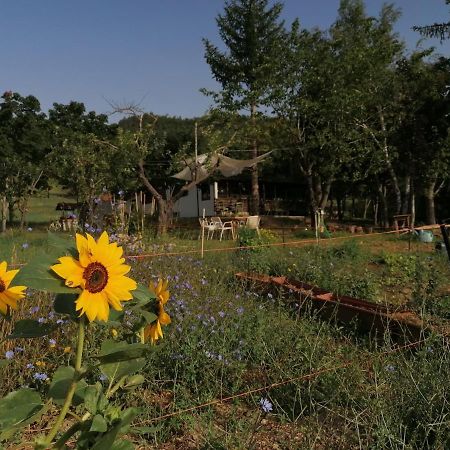 Nickland Villa San Sebastiano Curone Esterno foto